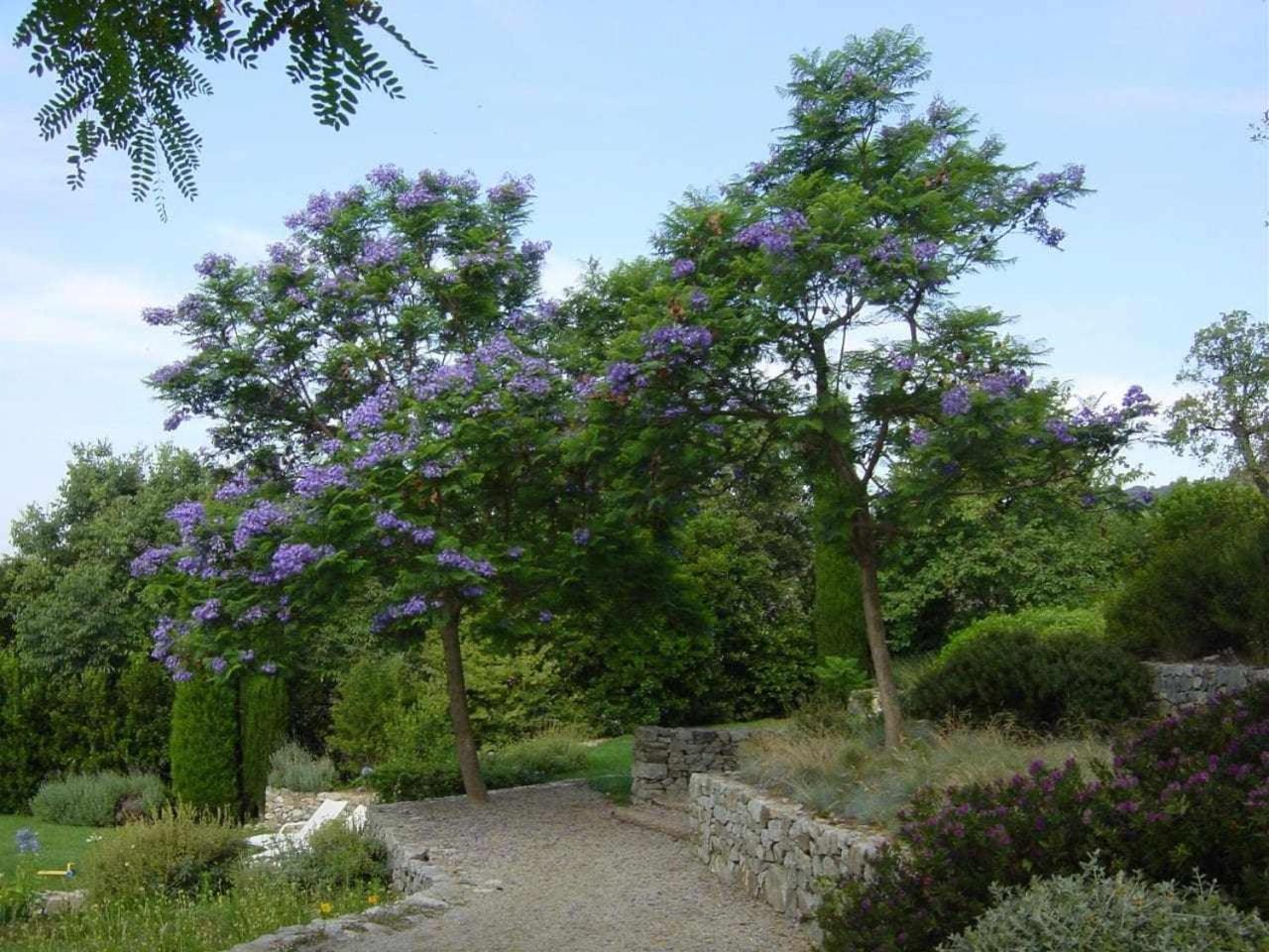 Ca Landreu Ecoturisme Villa Tiana Luaran gambar