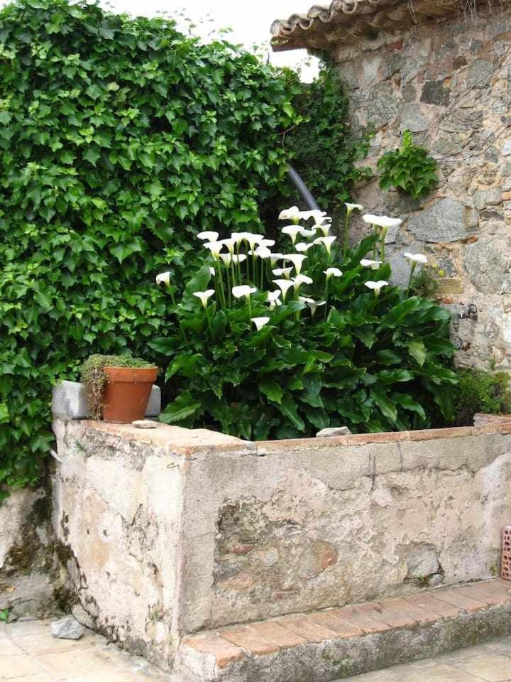 Ca Landreu Ecoturisme Villa Tiana Luaran gambar