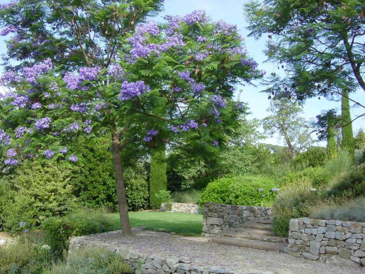 Ca Landreu Ecoturisme Villa Tiana Luaran gambar
